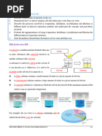 Separating Rock Salt: Methods Explained | PDF