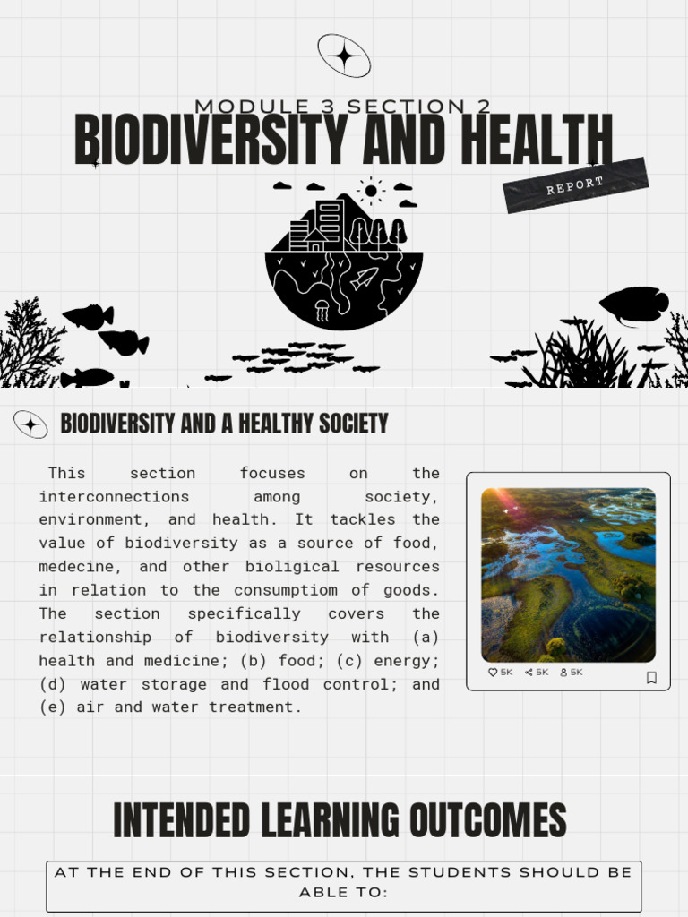 Biodiversity's Impact on Health and Society | PDF | Biodiversity ...