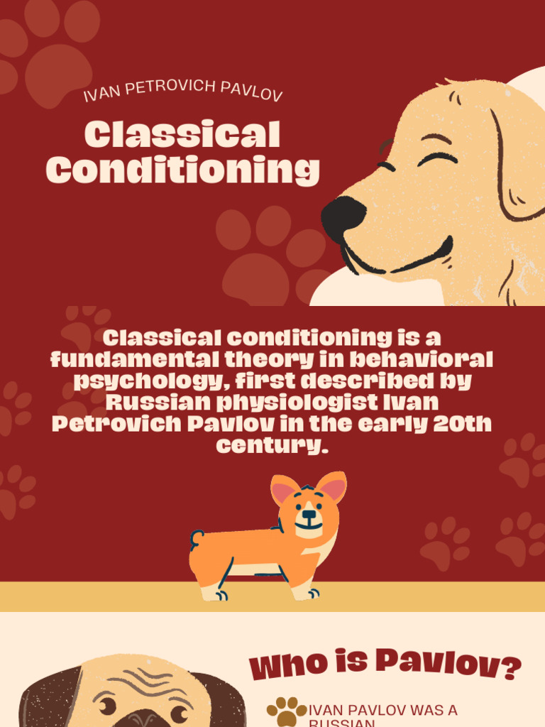 Pavlov Classical Conditioning | PDF | Classical Conditioning | Behavior  Modification, image size:768x1024