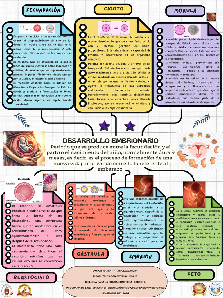 Proceso de Fecundación y Desarrollo Embrionario | PDF | Embrión ...