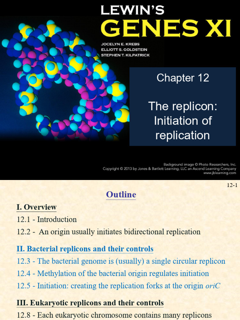 DNA Replication: Bacterial and Eukaryotic Mechanisms | PDF | Dna ...