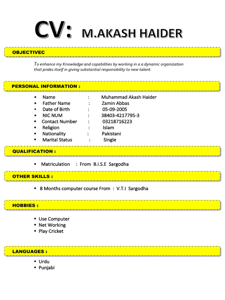 CV - PDF RR | PDF