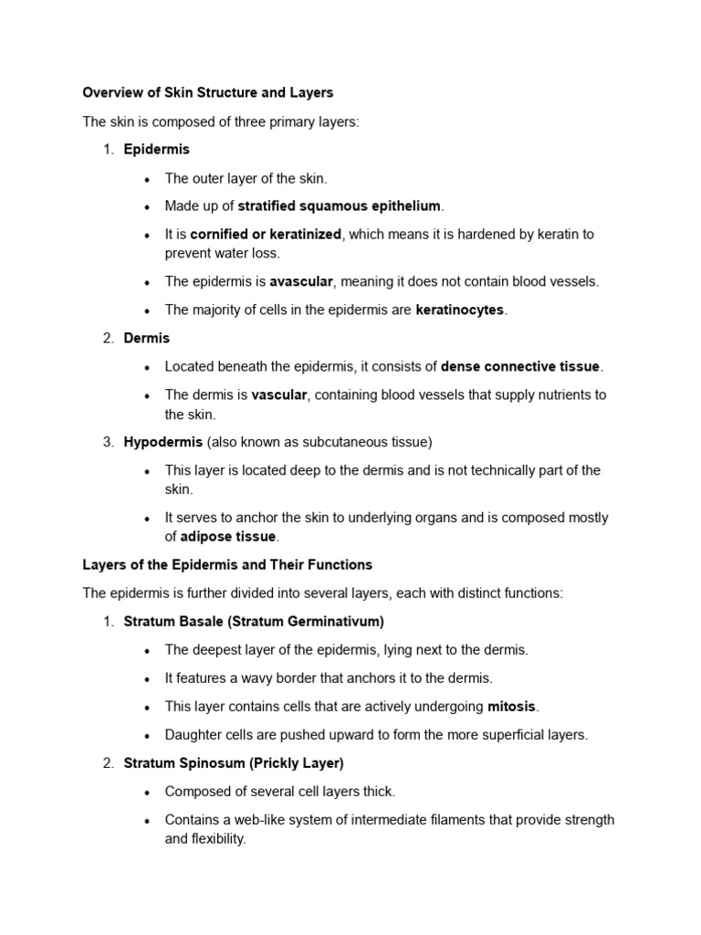 Skin Structure: Layers and Functions | PDF | Skin | Epidermis
