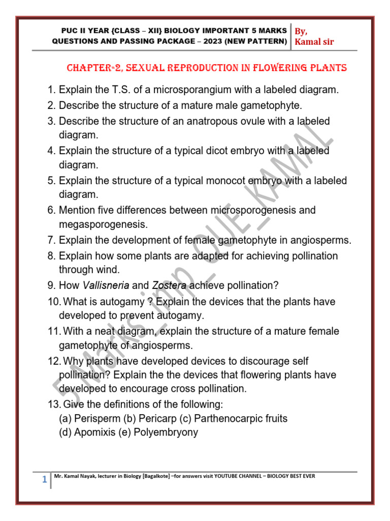 II PU - 5 Marks Imp Question 2024 | PDF | Molecular Cloning | Microorganism