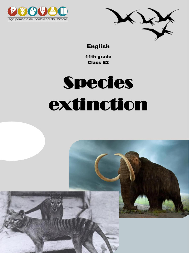 Causes and Examples of Species Extinction | PDF | Extinction | Biodiversity