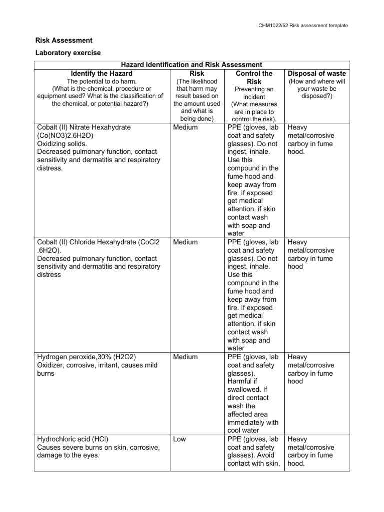 CHM1022 Risk Assessment Template | PDF | Personal Protective Equipment ...