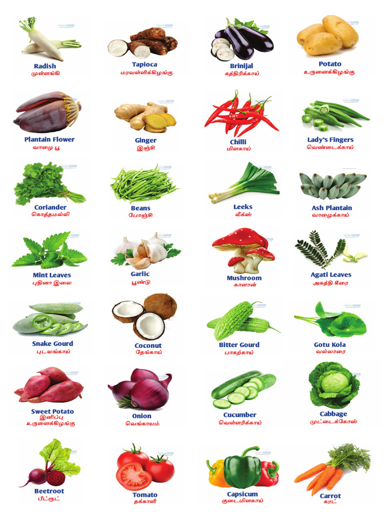 Vegetables | PDF