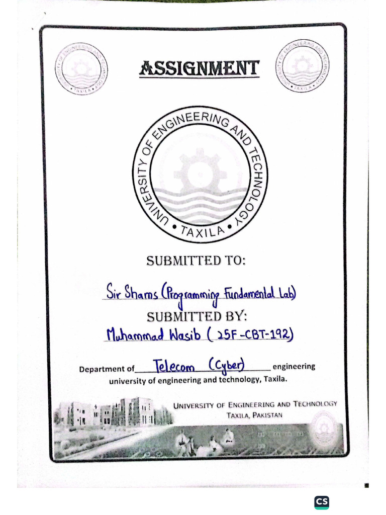 Assignment # 1 PF Lab | PDF