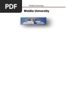 Bentley FlowMaster User Guide | PDF | Computing | Software