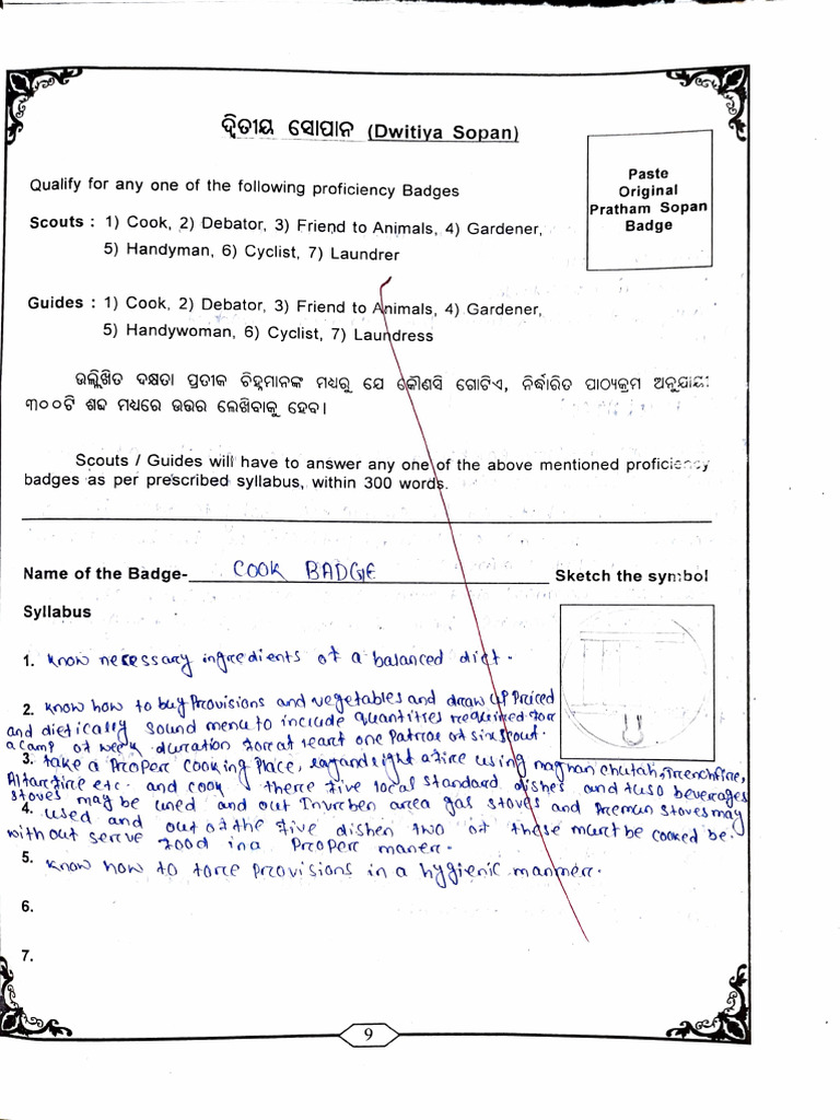 Dwitiya Sopan Badge Requirements | PDF