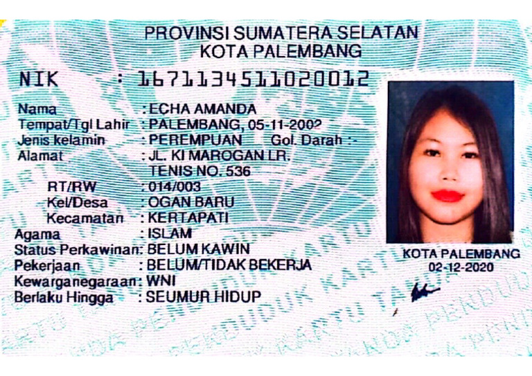 Scan KTP PDF | PDF