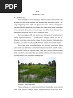 Download BAB I Rawa Tanpa Hutan My Tugas Ekolaba Pa Hardi by Bagian Pembangunan Setda Hst SN93439454 doc pdf