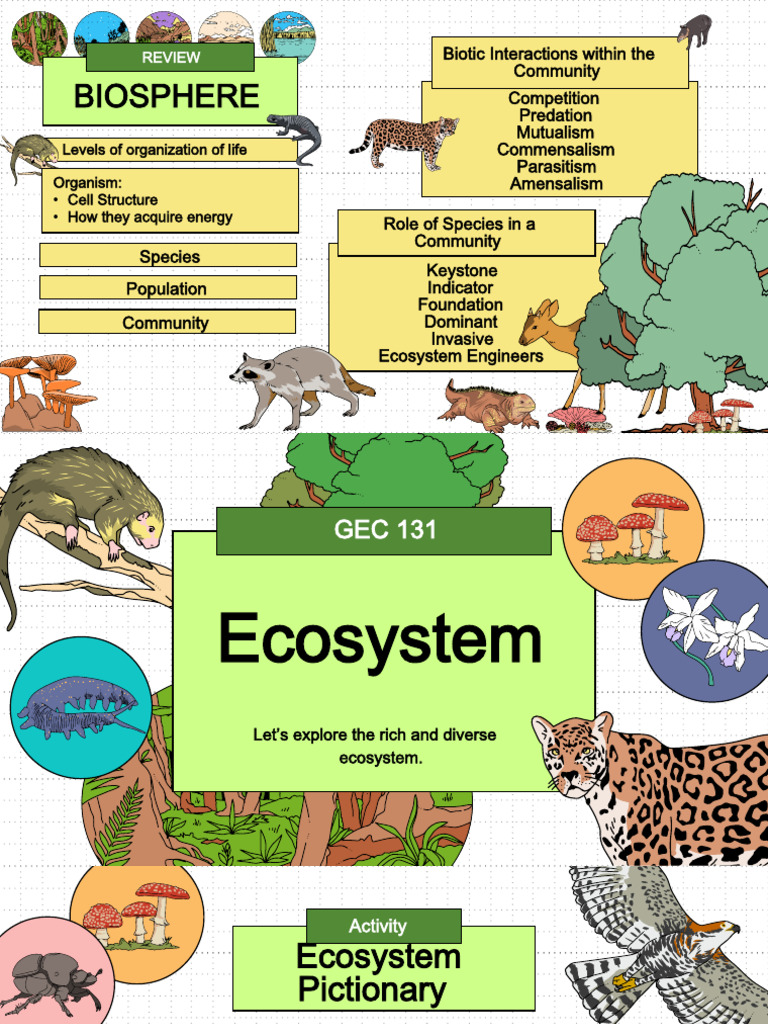 GEC 131 Ecosystem Functions, Processes, Principles and Services 1st Sem ...
