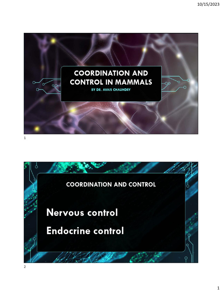 Control and Coordination A2 - Print 1 | PDF | Chemical Synapse | Action ...