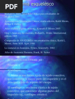 sistema esqueletico dra gonzález