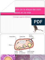 Presentacion Fisio Rata22