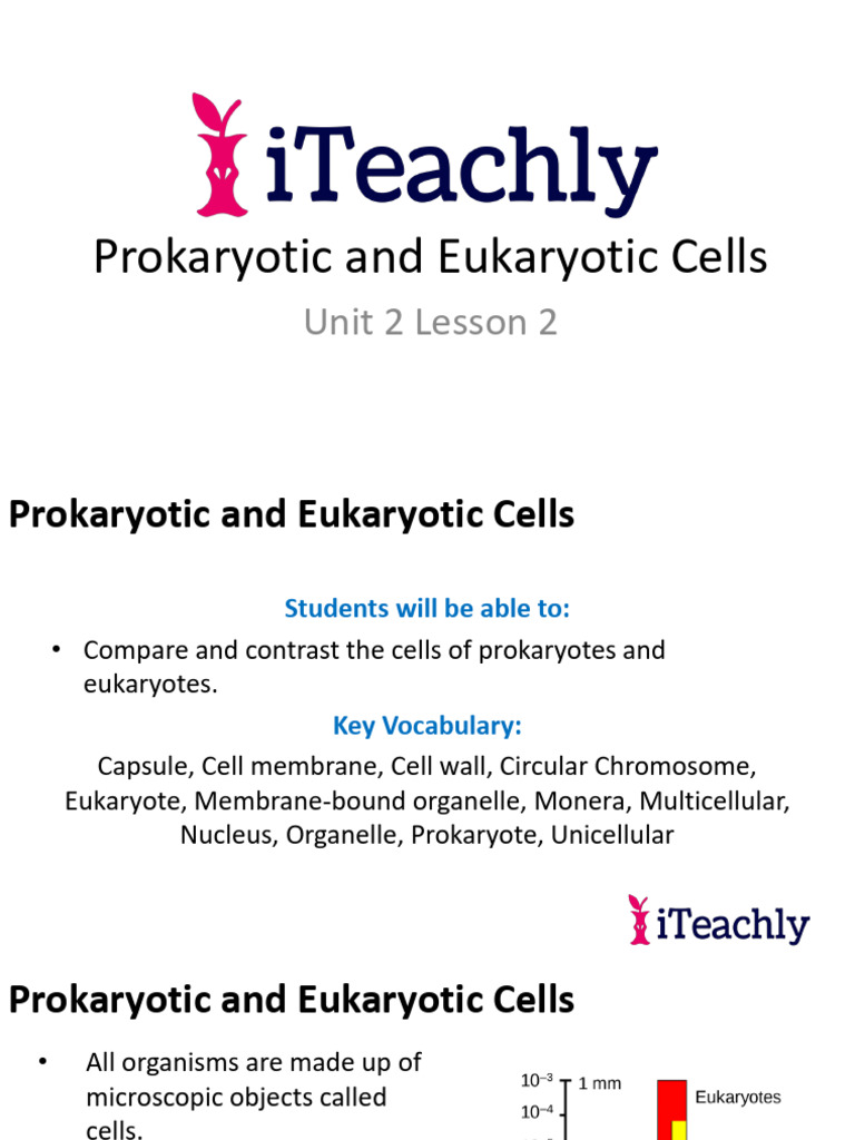 2 2 Slide Show Prokaryotic and Eukaryotic Cells | PDF | Cell (Biology ...