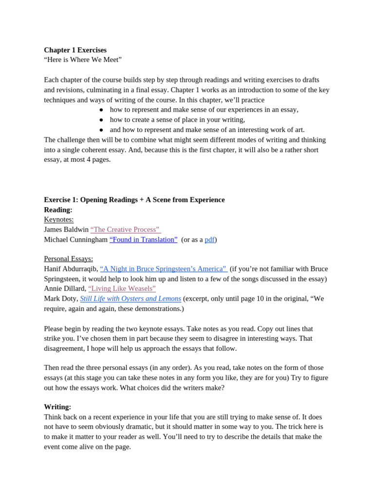 Chapter 1 Writing Exercises Overview | PDF | Essays