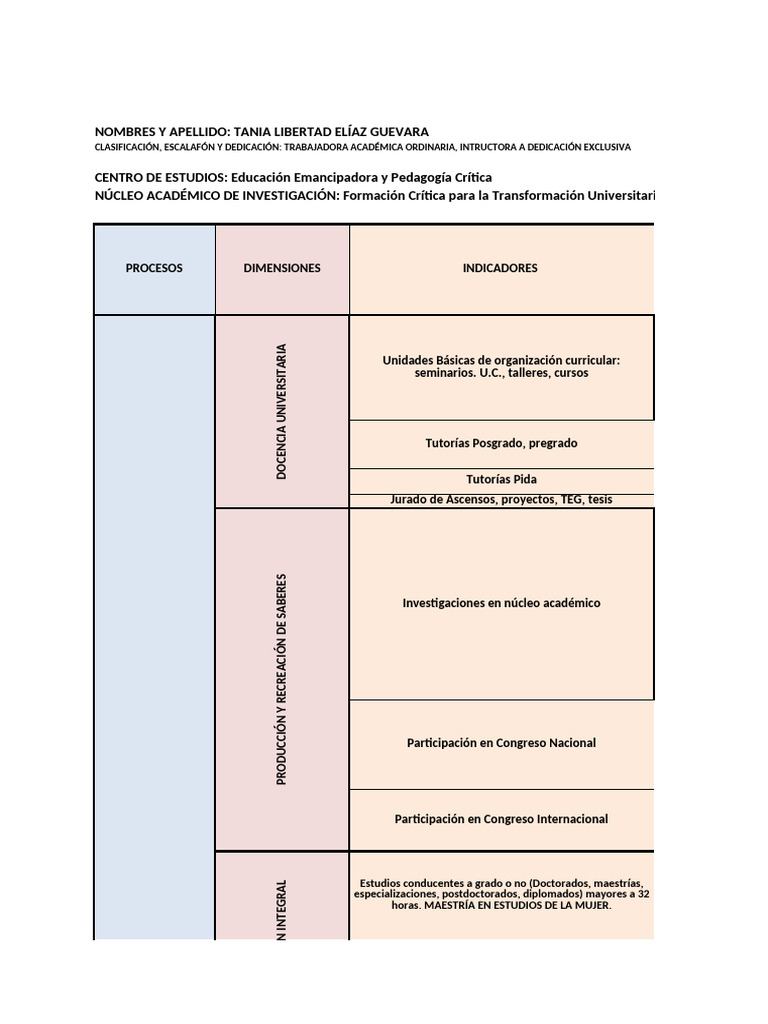 PIDA Prospectivo 2010-2017 | PDF