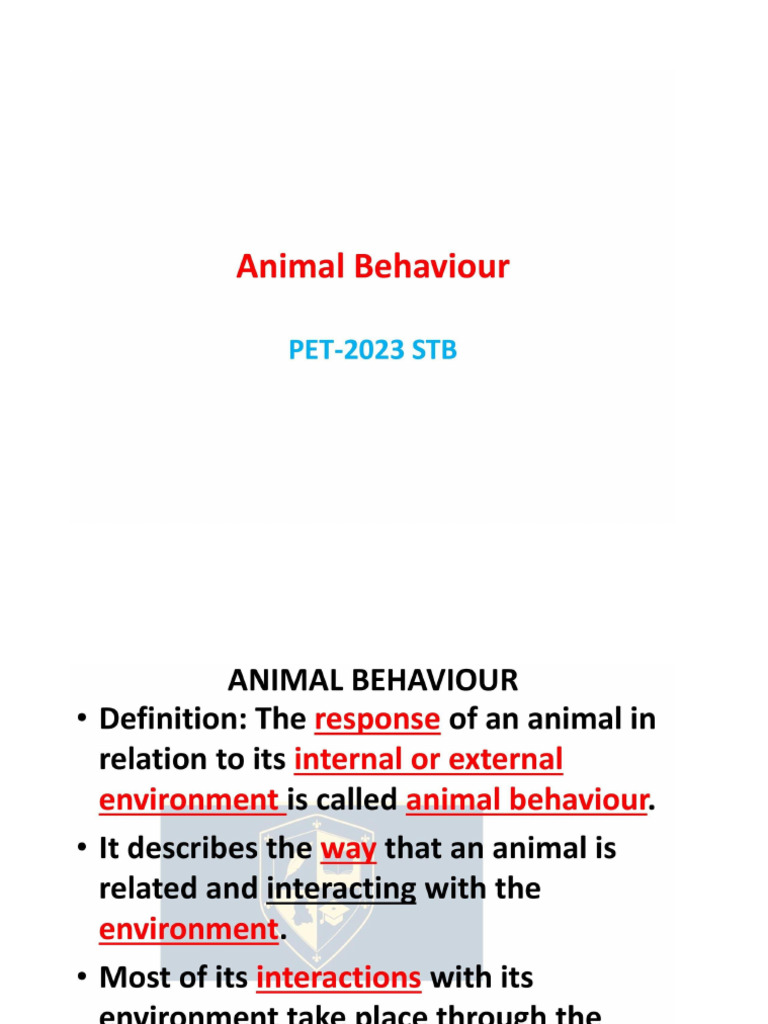 Animal Behaviour | PDF