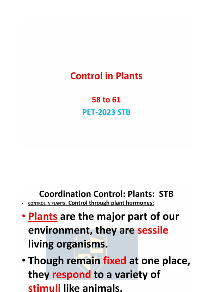 Control in Plant | PDF