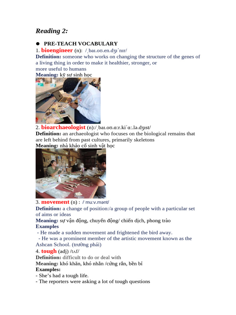 Vocabulary and Daily Routine of a PCP | PDF | Physical Examination ...