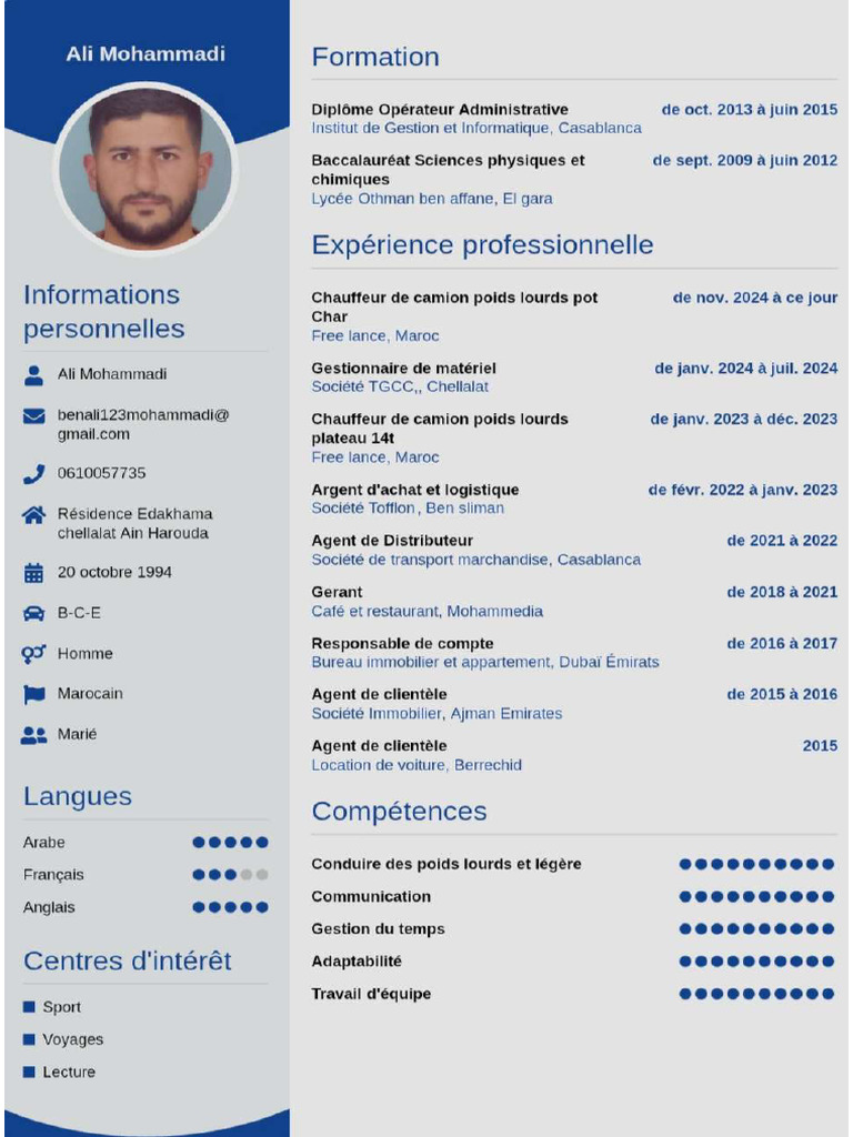 CV Ali | PDF