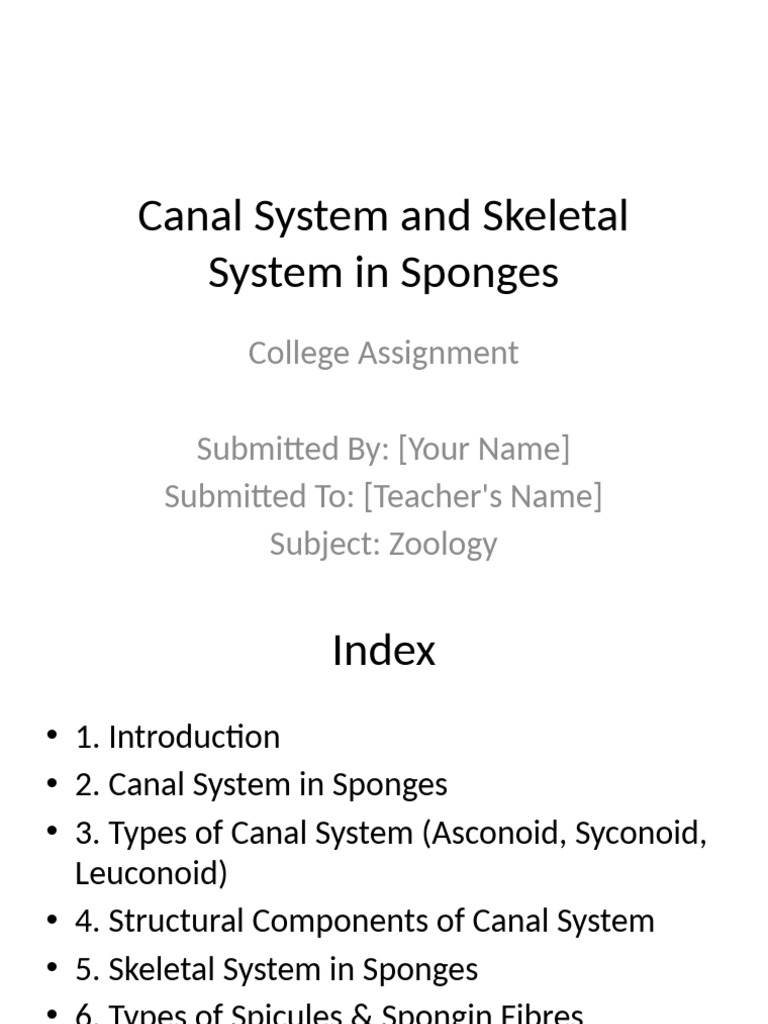 Canal and Skeletal Systems in Sponges | PDF | Sponge | Skeleton