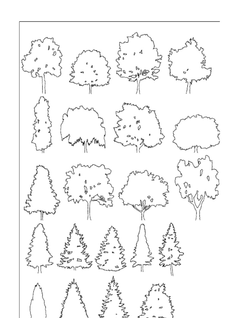 Trees 1 by 8 | PDF