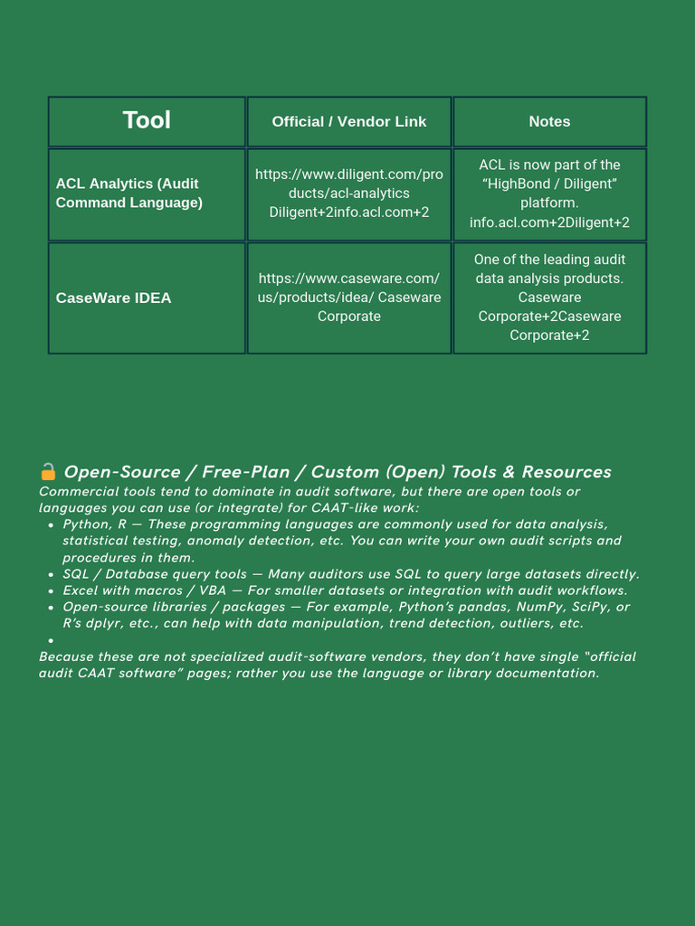 CAAT Audit Software Overview | PDF
