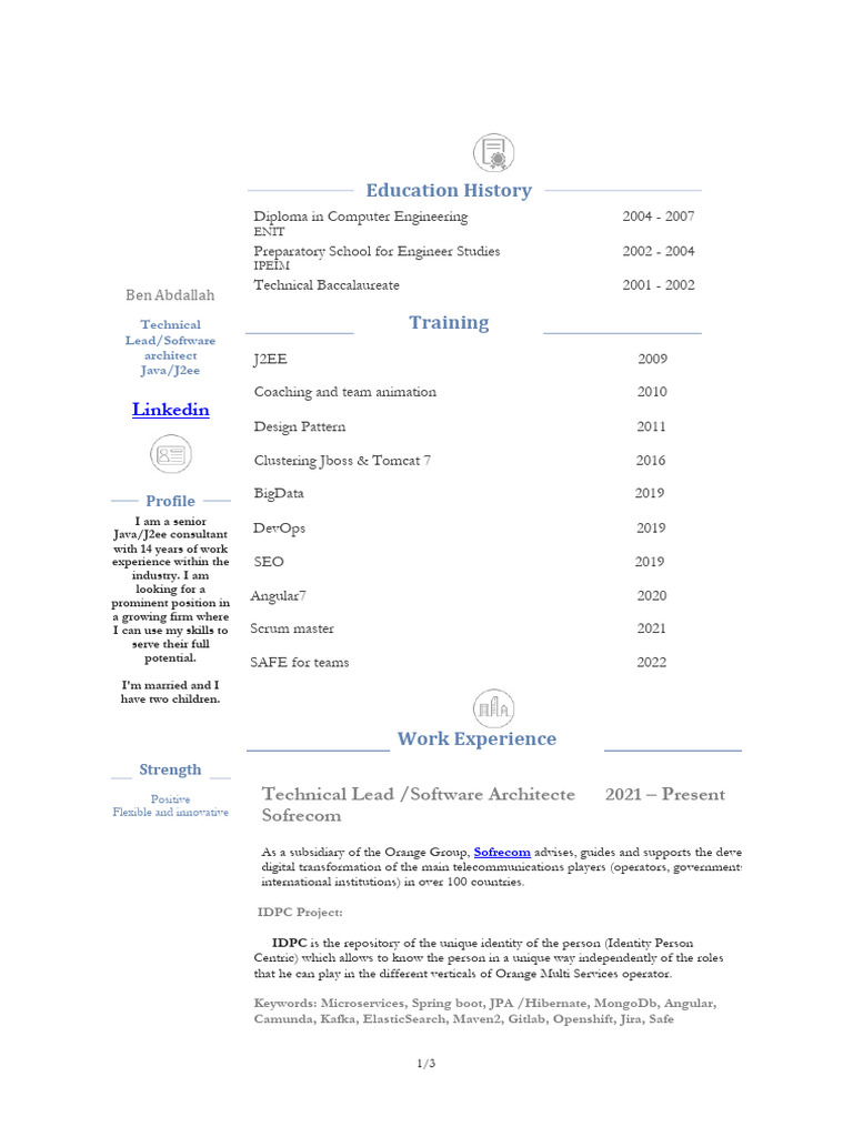 Senior Java/J2EE Consultant Profile | PDF | Java (Programming Language ...