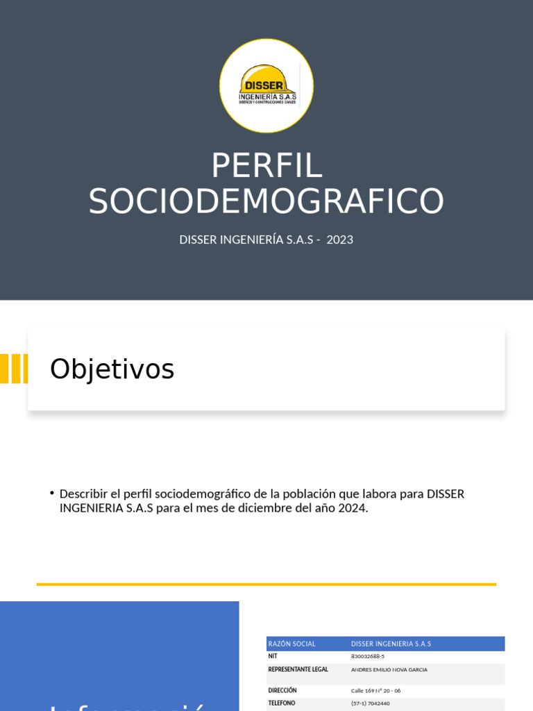 Perfil Sociodemográfico DISSER 2024 | PDF | Ingeniería | Enseñanza de ...