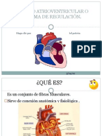 APARATO ATRIOVENTRICULAR O SISTEMA DE REGULACIÓN