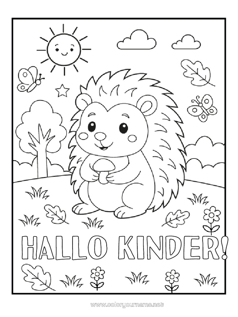 Hallo-Kinder Sur | PDF