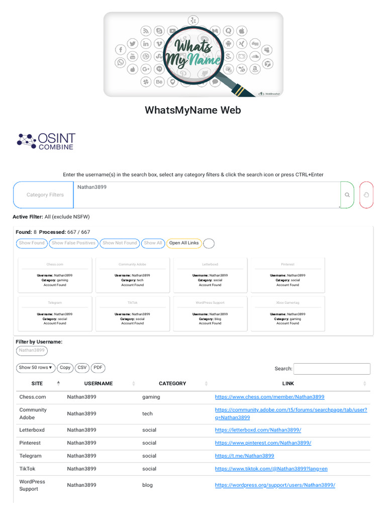 Username Enumeration Tool Overview | PDF | Computing | Software
