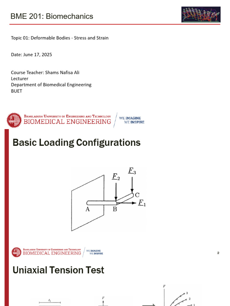 BME201 Jan2025 L1 Deformable Bodies | PDF | Deformation (Engineering ...
