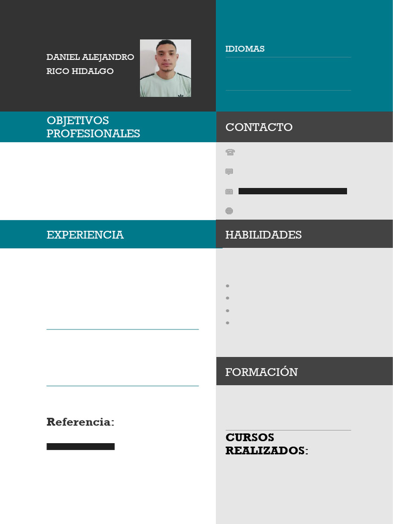 CV de Daniel Alejandro Rico Hidalgo | PDF