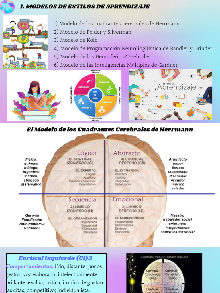 I. Modelos de Estilos de Aprendizaje | PDF | Hemisferio cerebral ...