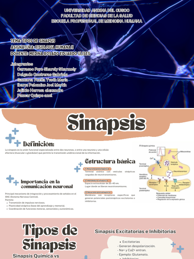 Sinapsis | PDF | Sinapsis | Neurotransmisor