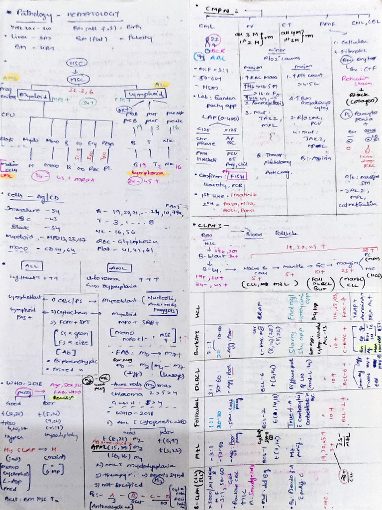 Myeloproliferative Disorders Overview | PDF