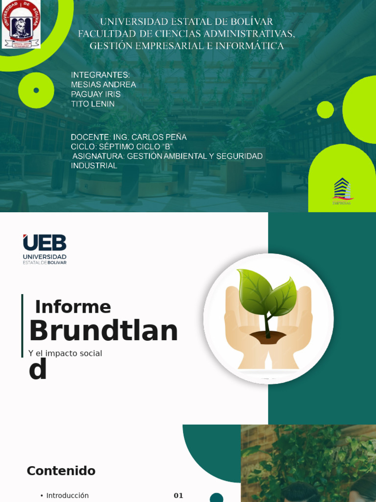 Informe de Brundtland y Desarrollo Sostenible | PDF | Sustentabilidad ...