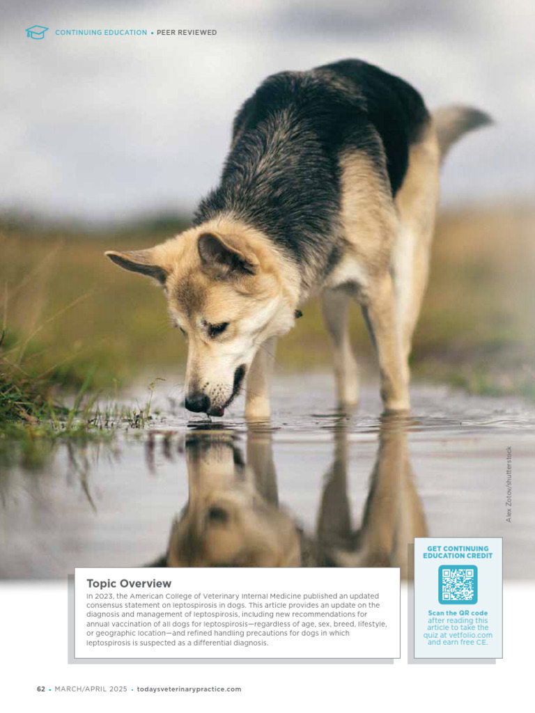 TVP 2025 0304 Leptospirosis | PDF | Serology | Immunology