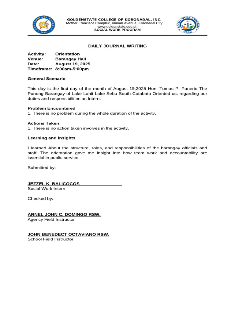 Daily Journal of Social Work Intern Activities | PDF