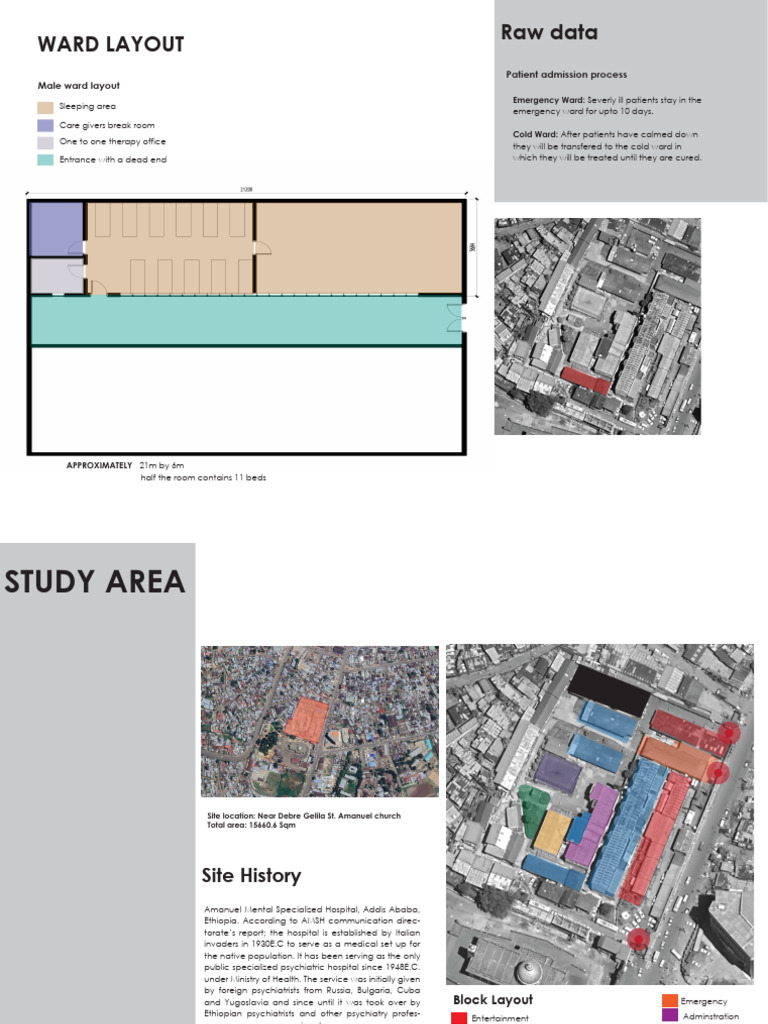 Nigist Kifle - Thesis - First Draft - Document | PDF