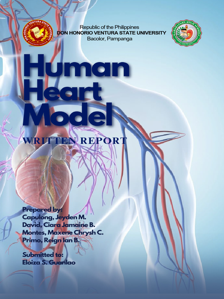 Human Heart Model Group 6 - 20250308 - 191707 - 0000 | PDF | Heart ...