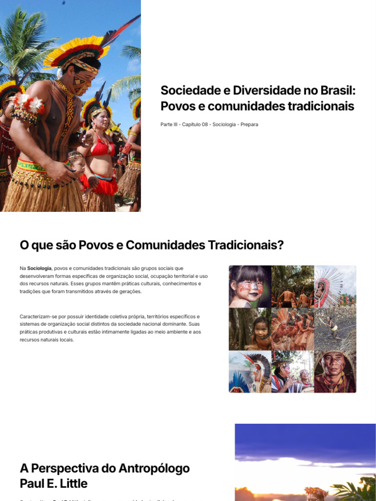 Povos Tradicionais e Sustentabilidade no Brasil | PDF | Povos indígenas ...