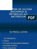 Microbiologie LP 6