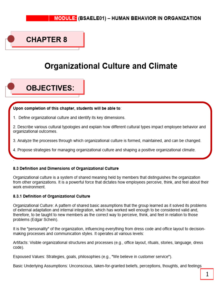 Understanding Organizational Culture Dynamics | PDF | Organizational ...