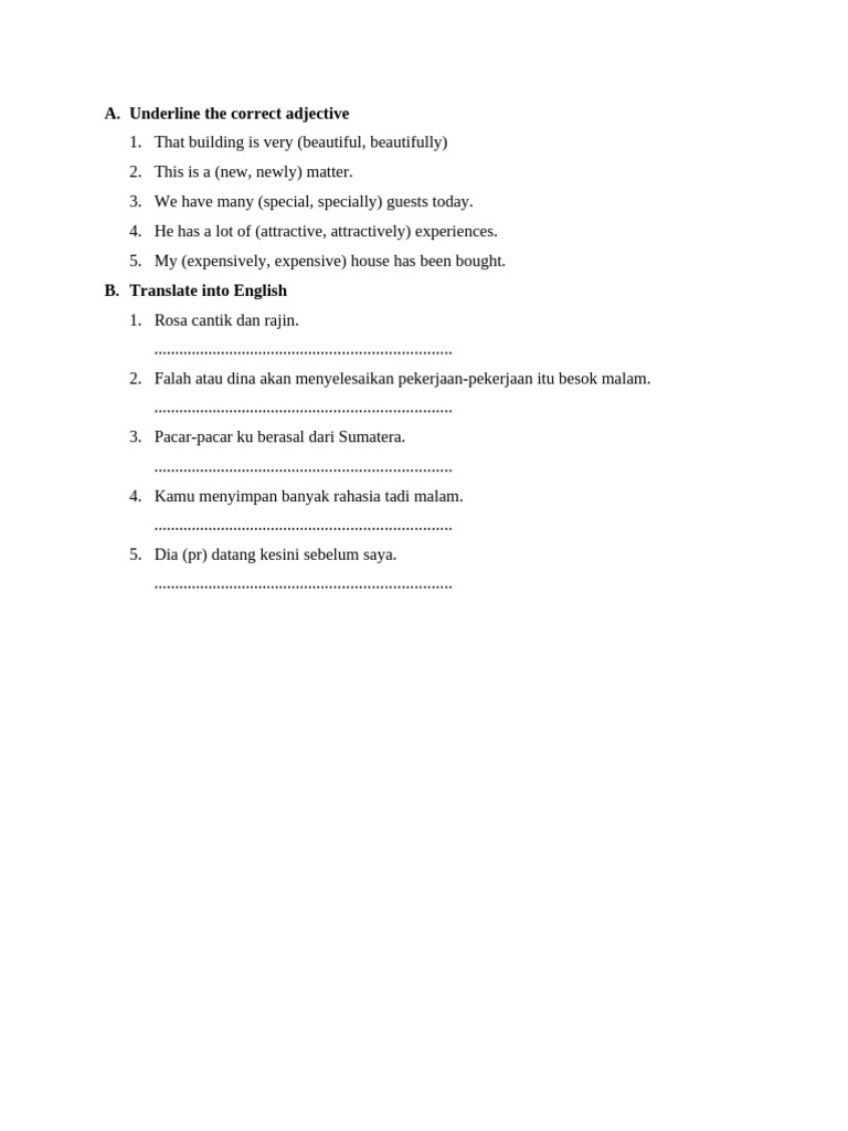 Adjective Exercises and Translations | PDF