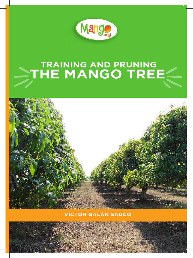 Mango Tree Training and Pruning Guide | PDF | Pruning | Trees